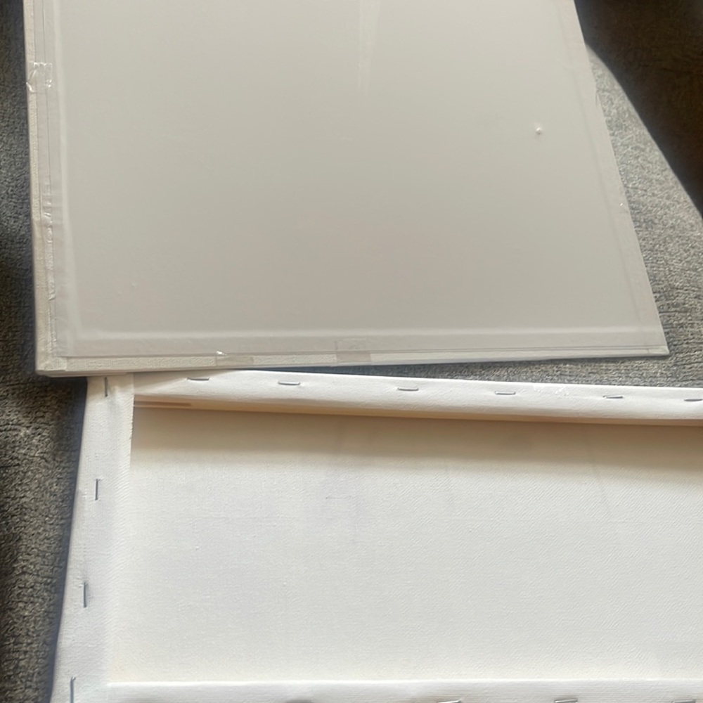 2 blank canvas